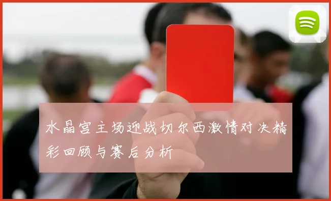 水晶宫主场迎战切尔西激情对决精彩回顾与赛后分析